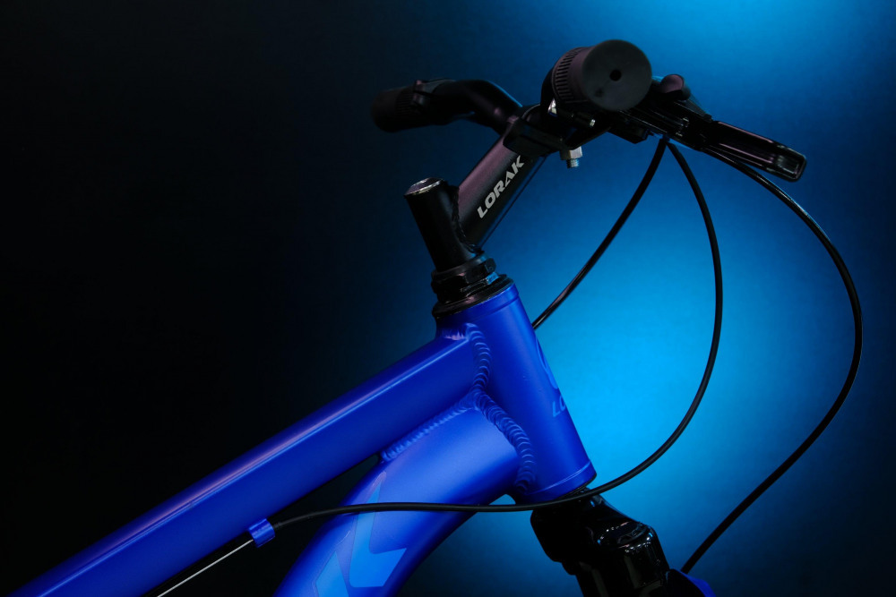 LORAK Fast Brown 24 Матовый Синий