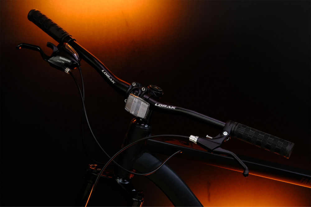 LORAK Fast Brown 29 Матовый Чёрный рама 21 (на рост 183-190)